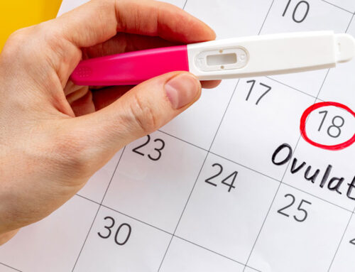 Cycle Tracking and Ovulation
